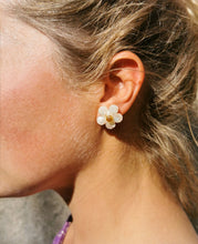 Charger l'image dans la galerie, NUBLADO