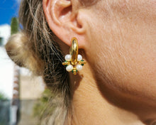 Charger l'image dans la galerie, BIZCOCHITO