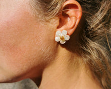 Charger l'image dans la galerie, NUBLADO