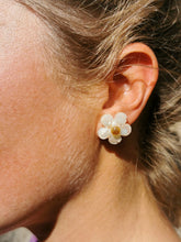 Charger l'image dans la galerie, NUBLADO