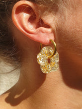 Charger l'image dans la galerie, RIOHACHA