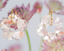 Charger l'image dans la galerie, PALOMINO